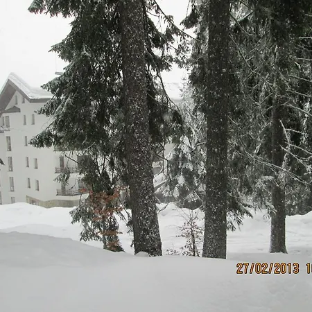 Aparthotel Aparthotel Iceberg 3*